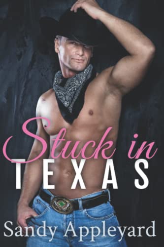 Beispielbild fr Stuck in Texas (Big Heart, Small Town Address) zum Verkauf von Books Unplugged