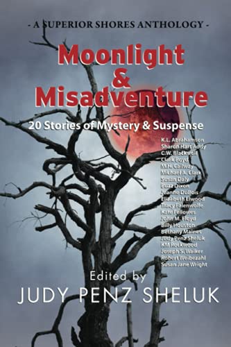 Imagen de archivo de Moonlight & Misadventure: 20 Stories of Mystery & Suspense a la venta por ThriftBooks-Atlanta