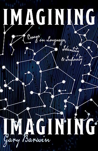 Imagen de archivo de Imagining Imagining: Essays on Language, Identity and Infinity a la venta por Red's Corner LLC