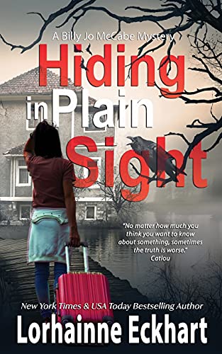 Imagen de archivo de Hiding in Plain Sight a la venta por GreatBookPrices