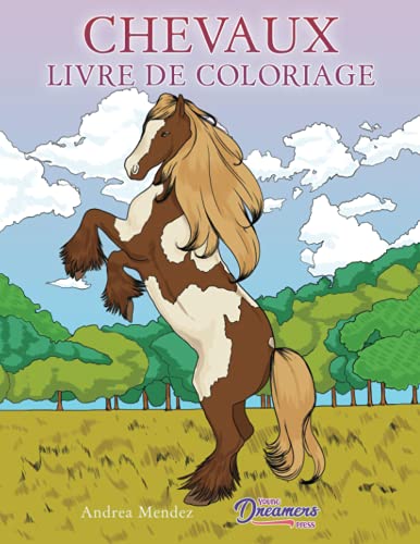 Imagen de archivo de Chevaux livre de coloriage: Pour les enfants 9-12 ans (French Edition) a la venta por Book Deals