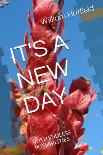 Stock image for It's a New Day for sale by PBShop.store US