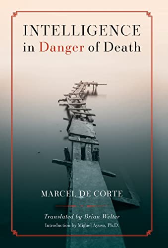 Stock image for Intelligence in Danger of Death (English edition) for sale by GreatBookPrices