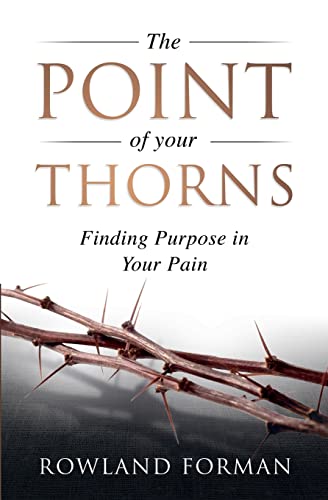 Imagen de archivo de The Point of Your Thorns: Finding Purpose in Your Pain a la venta por GreatBookPrices