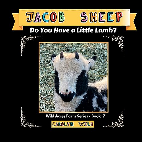 Stock image for Jacob Sheep: Do You Have A Little Lamb? for sale by ThriftBooks-Atlanta