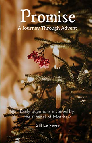 9781999164850: Promise: A Journey Through Advent: Daily devotions inspired by the Gospel of Matthew