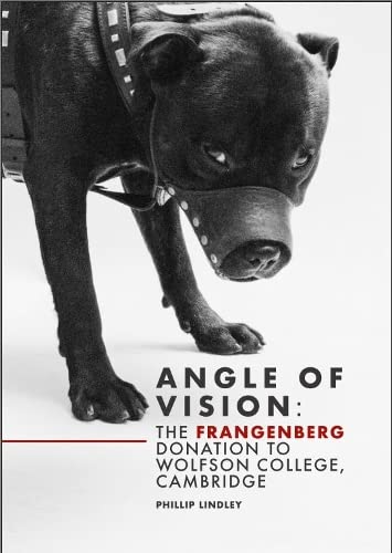Beispielbild fr Angle of Vision: The Frangenberg Donation to Wolfson College, Cambridge zum Verkauf von Colin Martin Books