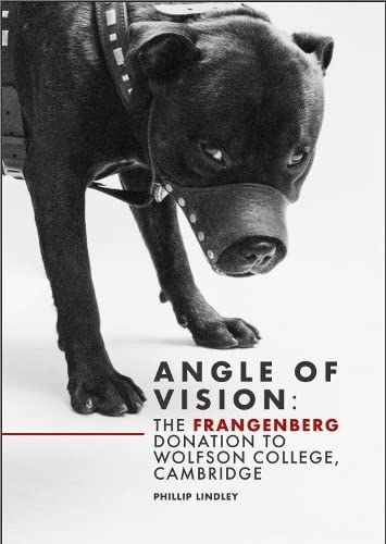 Stock image for Angle of Vision: The Frangenberg Donation to Wolfson College, Cambridge for sale by Colin Martin Books