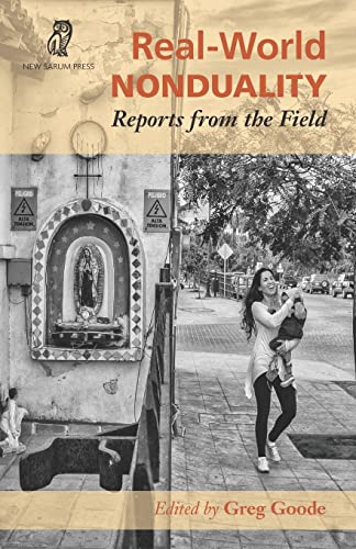 Imagen de archivo de Real-World Nonduality: Reports From The Field a la venta por GF Books, Inc.