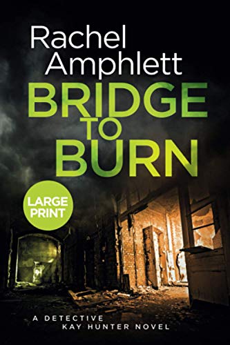 Imagen de archivo de Bridge to Burn: A Detective Kay Hunter murder mystery: 2019 a la venta por THE SAINT BOOKSTORE