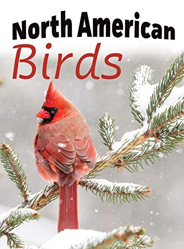 Imagen de archivo de North American Birds 1 For Adults with Dementia and Other Life Challenges a la venta por PBShop.store US