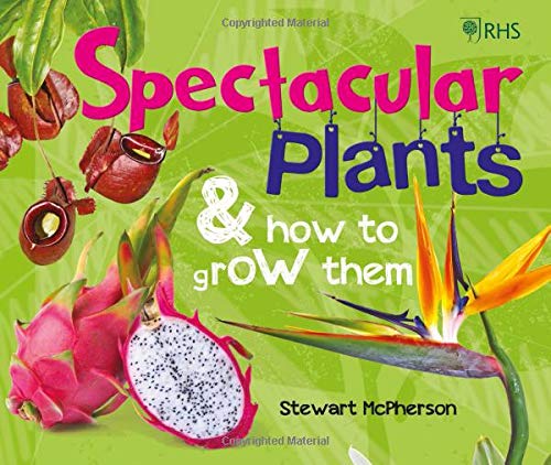 Imagen de archivo de RHS Spectacular Plants and how to grow them a la venta por WorldofBooks