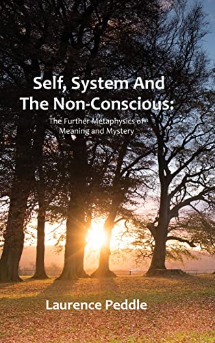 Imagen de archivo de Self, System and the Non-Conscious: The Further Metaphysics of Meaning and Mystery a la venta por Lucky's Textbooks
