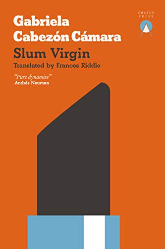 Imagen de archivo de Slum Virgin a la venta por St Vincent de Paul of Lane County