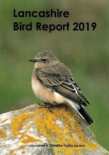 Beispielbild fr Lancashire Bird Report 2019 zum Verkauf von WorldofBooks