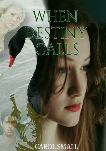 9781999793951: When Destiny Calls