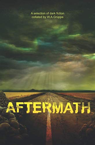 Stock image for Aftermath for sale by Revaluation Books