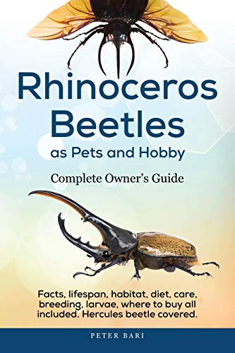 Stock image for Rhinoceros Beetles as Pets and Hobby - Complete Owner's Guide.: Facts, lifespan, habitat, diet, care, breeding, larvae, where to buy, Hercules beetle all covered. for sale by Wizard Books