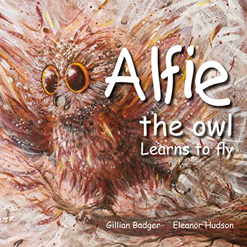 Beispielbild fr Alfie Alfie the owl 2017: Learns to fly zum Verkauf von AwesomeBooks