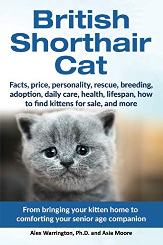 Beispielbild fr British Shorthair Cat: From bringing your kitten home to comforting your senior age beloved companion zum Verkauf von AwesomeBooks