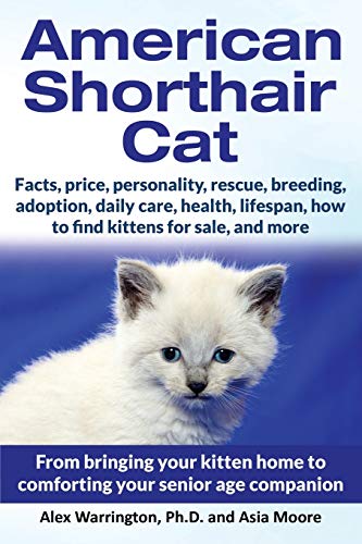 9781999913588: American Shorthair Cat: From bringing your kitten home to comforting your senior age companion