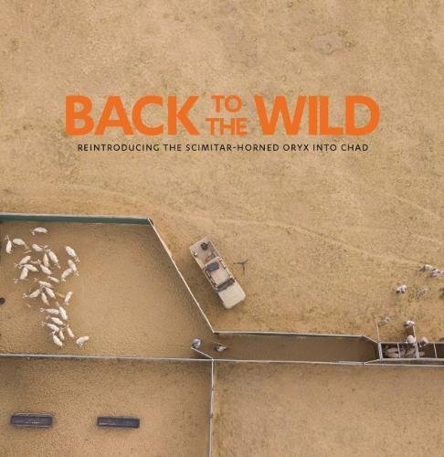 Beispielbild fr Back to the Wild: Reintroducing the Scimitar-Horned Oryx into Chad zum Verkauf von Yak and Yeti Books