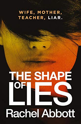 Imagen de archivo de The Shape of Lies a la venta por BooksRun