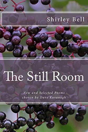 Beispielbild fr The Still Room: New and Selected Poems, Chosen by Dave Kavanagh zum Verkauf von Lucky's Textbooks