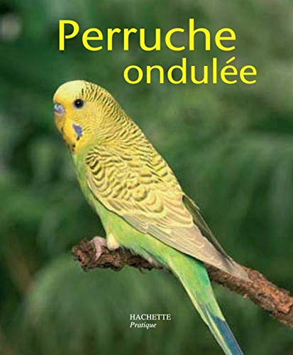 Imagen de archivo de La perruche ondule by Wolter, Annette a la venta por Better World Books