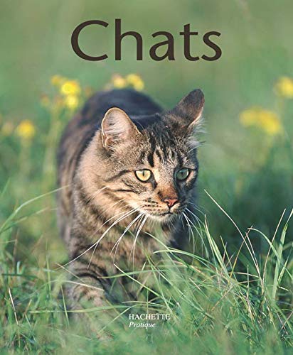 9782010174025: Chats: Bien les comprendre et bien les soigner Les conseils d'un expert pour votre animal favori