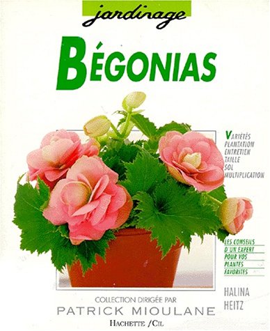 Beispielbild fr Bgonias zum Verkauf von medimops