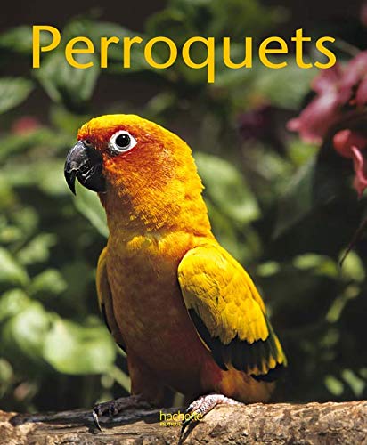 Stock image for Perroquets for sale by RECYCLIVRE