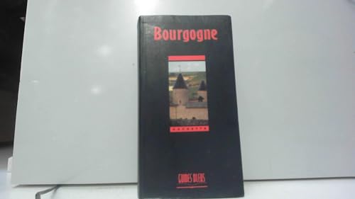 Imagen de archivo de Guide Bleu : Bourgogne a la venta por ThriftBooks-Dallas