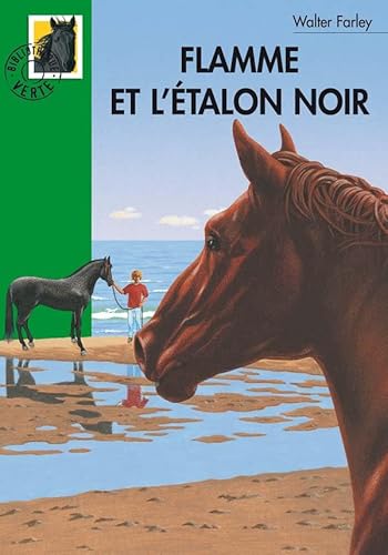 Imagen de archivo de l'talon noir : Flamme et l'talon noir a la venta por Chapitre.com : livres et presse ancienne