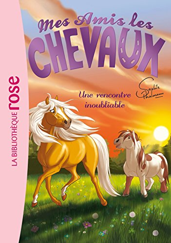 Beispielbild fr Mes amis les chevaux 06 - Une rencontre inoubliable (Mes amis les chevaux - Sophie Thalmann (6)) zum Verkauf von WorldofBooks