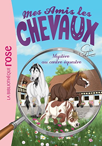 Stock image for Mes amis les chevaux 12 - Mystre au centre questre for sale by Librairie Th  la page