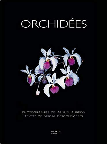 Beispielbild fr Orchides zum Verkauf von LeLivreVert