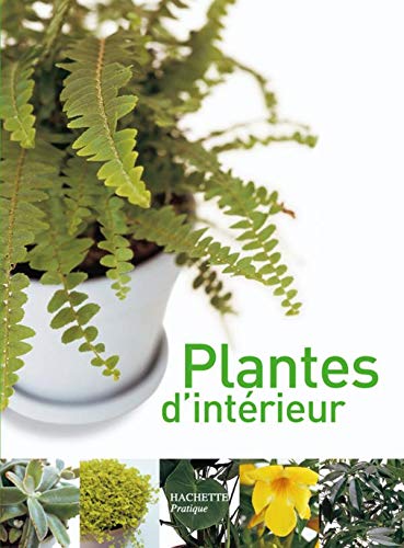 Stock image for Plantes d'int rieur for sale by WorldofBooks