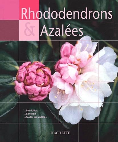 Stock image for Rhododendrons et azales for sale by Ammareal