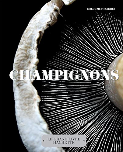 Beispielbild fr Le grand livre Hachette des Champignons zum Verkauf von medimops