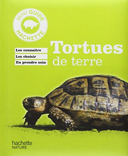 Beispielbild fr Tortue de terre zum Verkauf von Ammareal
