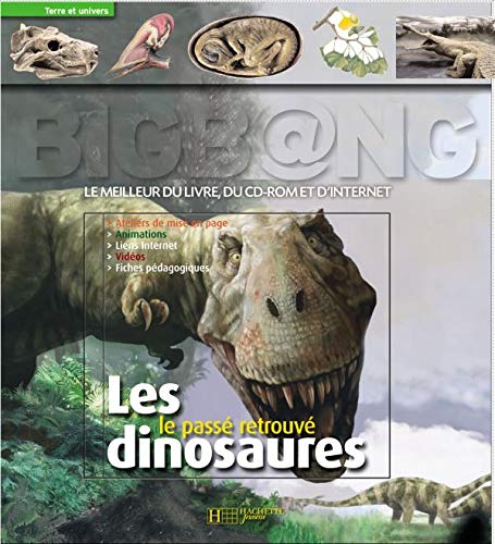 Beispielbild fr Les dinosaures : Le pass retrouv (1Cdrom) zum Verkauf von Ammareal
