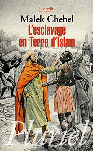 9782012794702: L'esclavage en terre d'Islam: Un tabou bien gard