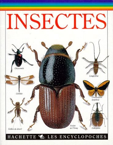 Beispielbild fr Insectes zum Verkauf von RECYCLIVRE