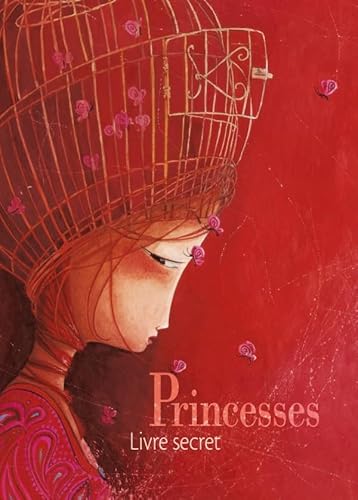 Beispielbild fr Princesses : Livre secret (Cahier vierge pour note) zum Verkauf von medimops