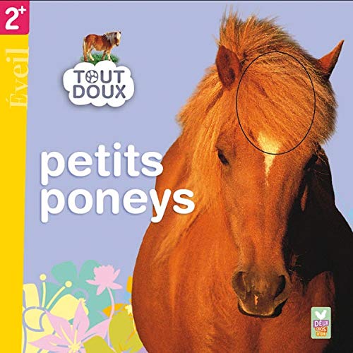 Petits poneys (French Edition) (9782013935623) by [???]