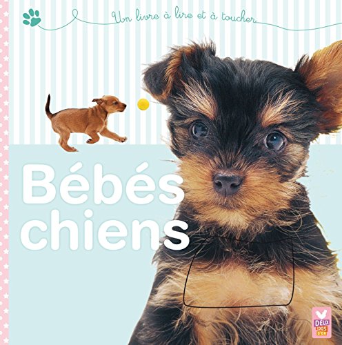 9782013944014: Bbs chiens - livre avec des matires  toucher (Tout carton)