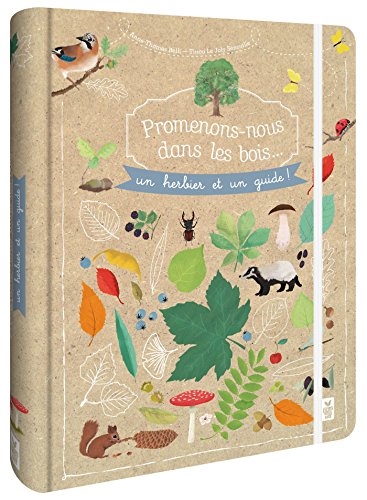Imagen de archivo de Promenons-nous dans les bois - Un herbier et un guide a la venta por medimops