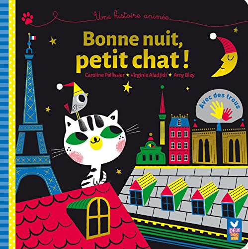 Beispielbild fr UN LIVRE A TROUS : BONNE NUIT, PETIT CHAT ! zum Verkauf von medimops