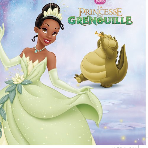 9782014638349: La princesse et la grenouille (French Edition)